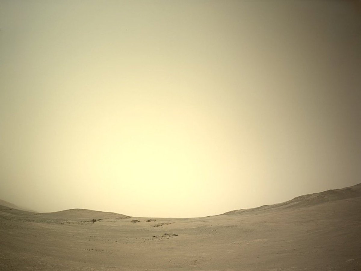 MayeChatpu's tweet photo. This picture was taken on Mars today https://t.co/hXh6V1JwIX