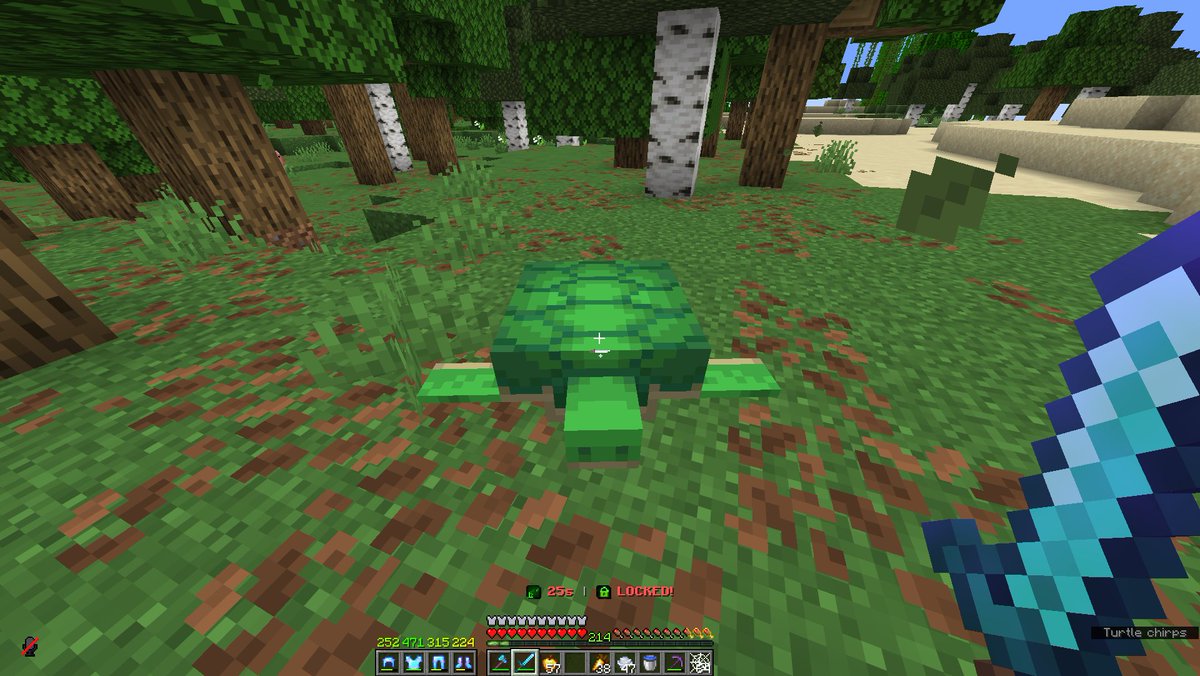 MonkrreMC's tweet photo. Frick ah turtle like where did you come from😭 https://t.co/MUa71KTq3j