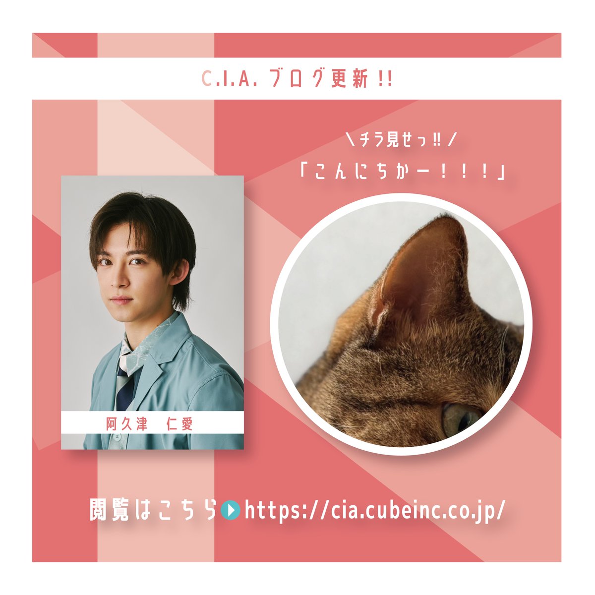 CIAcube's tweet photo. ／
💻C.I.A. BLOG📷
“250”更新のお知らせ‼️
＼

本日”250 阿久津仁愛「こんにちかー！！！」”を更新しました✨

かわいい写真に癒されます…🐈

ぜひチェックしていただきブログをお楽しみください🌈💐

公式サイトはこちらから▼
https://t.co/w2I1tRA8ZP

#CIAcube https://t.co/0rG5T4cFJI