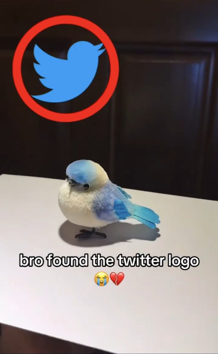 hourly_shitpost's tweet photo. https://t.co/Queo7MjU6a
