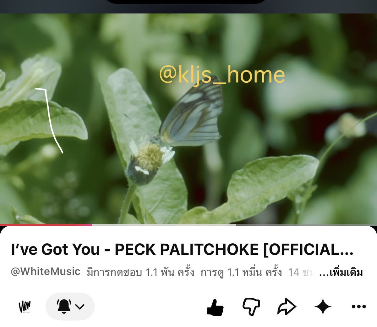 kljs_home's tweet photo. แจกน้ำหอม Oh My Sugar 1 set 
กติกา นุชเปิด mv เพลง I’ve got you.

https://t.co/b8L4rLwZyy

แคปภาพผีเสื้อใน mv  reply ติด #IHaveGotYouMV

ประกาศผลวันที่ 12 ส.ค. น๊า ขอไปปั่นเพลงและงานก่อน 😉
#เป๊กผลิตโชค #PeckPalitchoke https://t.co/b6DkWpAL3G