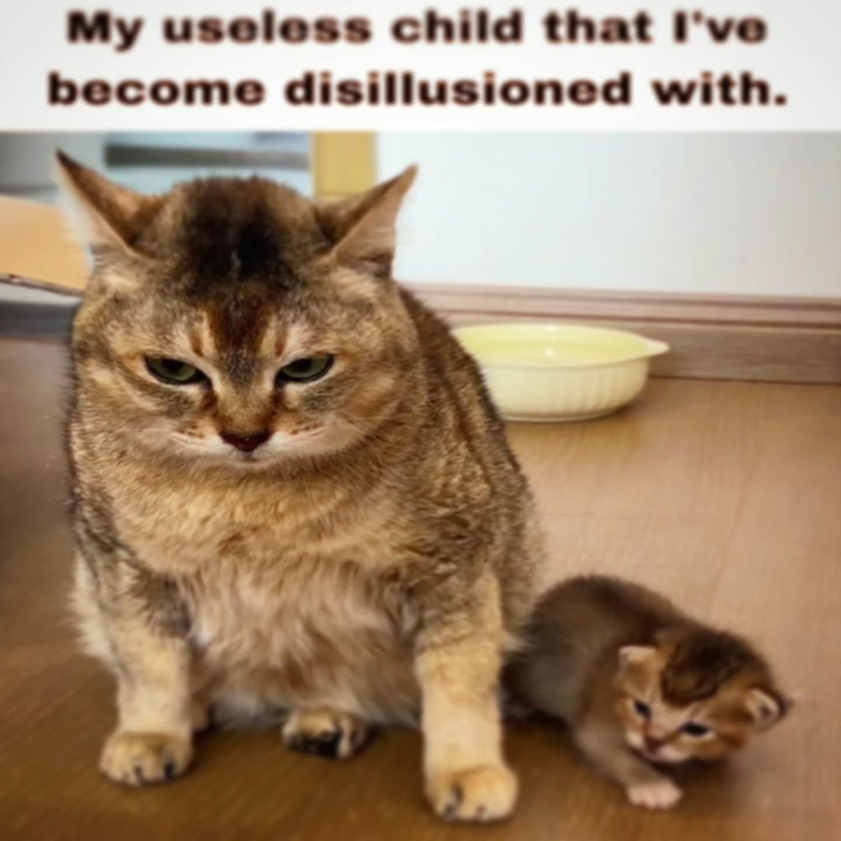 brainrotpostig's tweet photo. https://t.co/Cp5YmcBYFn