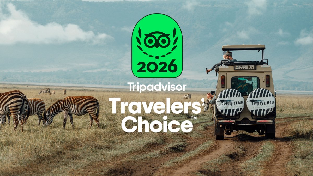 Pristinetrails's tweet photo. We are thrilled to announce that Pristine Trails has been recognized in Tripadvisor’s® Travelers’ Choice Awards for 2026. 

Our entire team would like to thank you, our guests who chose us as your tour operator of choice in East Africa. 

#PristineTrails #Awardwinning https://t.co/Ij7OkjwNYz