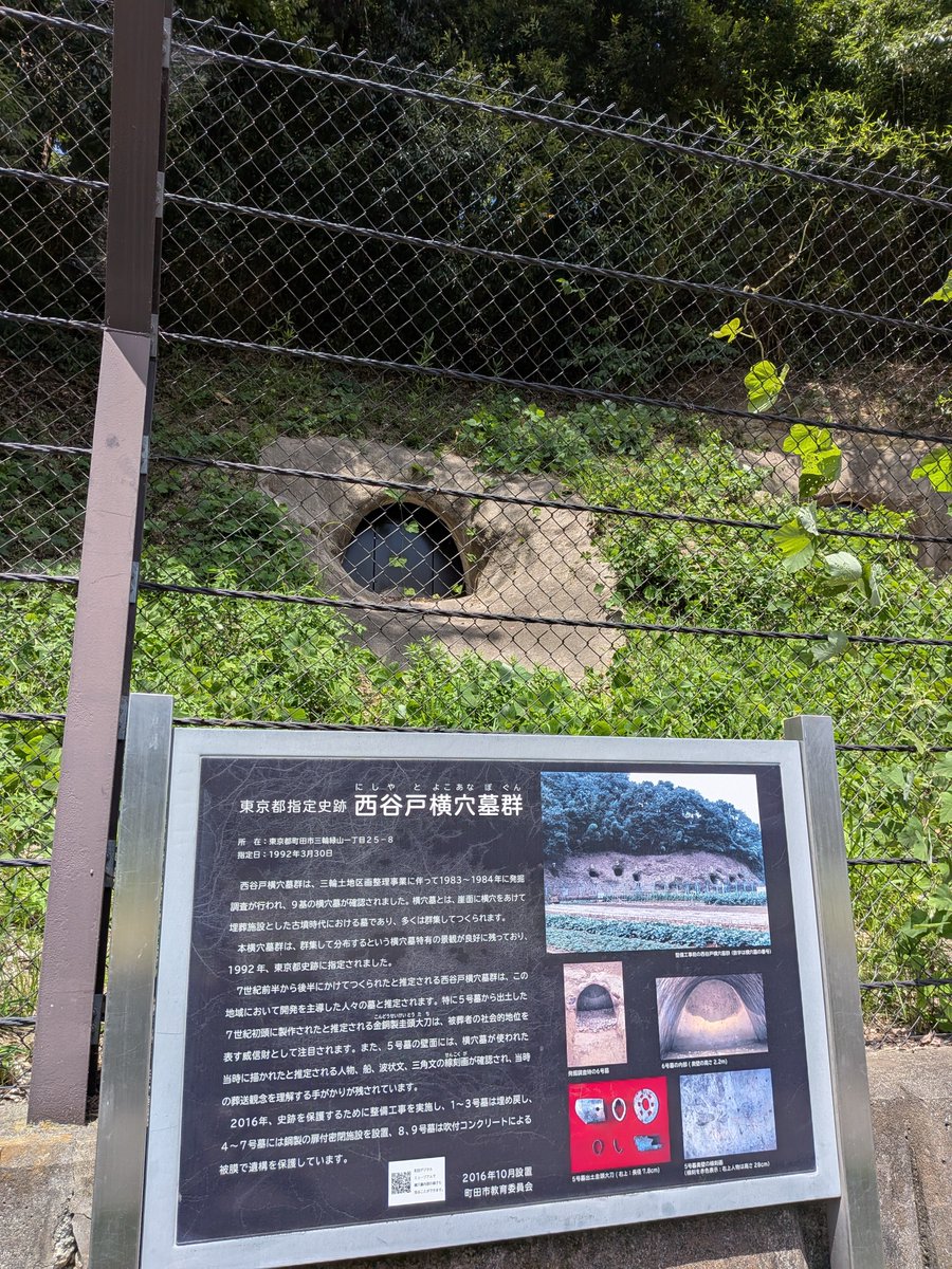 Gyojin03's tweet photo. いつもの緑山から古墳時代の横穴墓、奈良時代の窯跡へ。
氷を背負って走ってますが、暑い‼️ https://t.co/bFcDa8LAmw