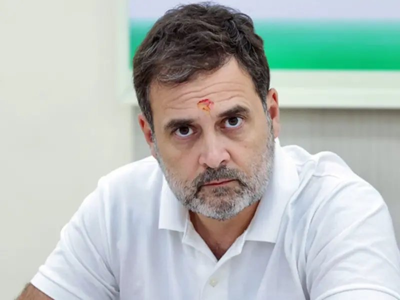 LokeshVirat18K's tweet photo. Why is Rahul Gandhi famous in India? https://t.co/lq3oSb04TX
