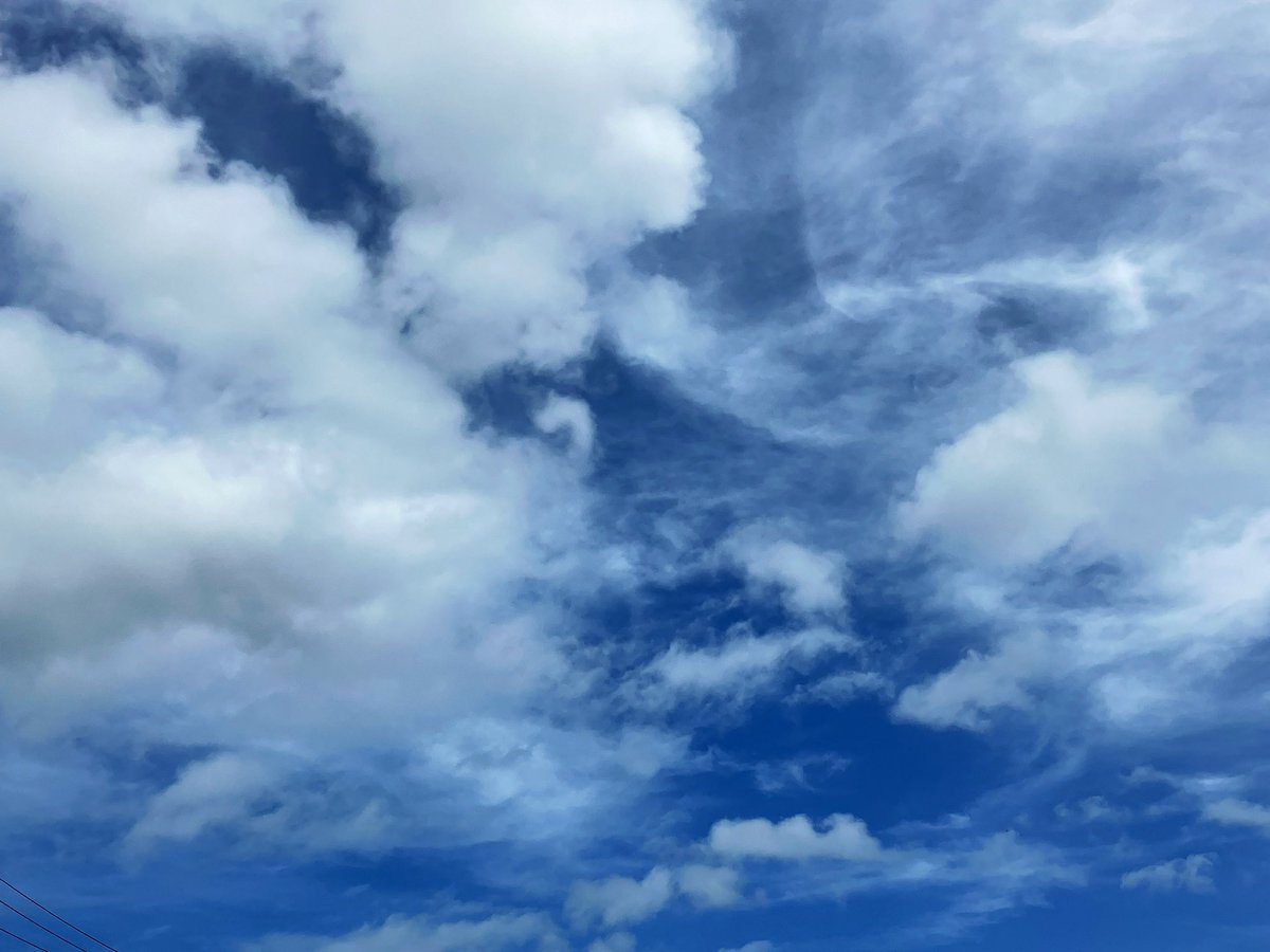 ito5586's tweet photo. 今日は風もあって過ごしやすい感じ https://t.co/iqMeAvW2ze