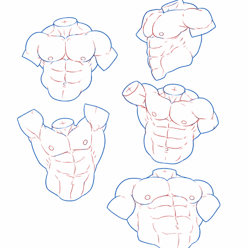 sodaguyx's tweet photo. Is this considered fat or strong? https://t.co/Z9I9jHmK3G