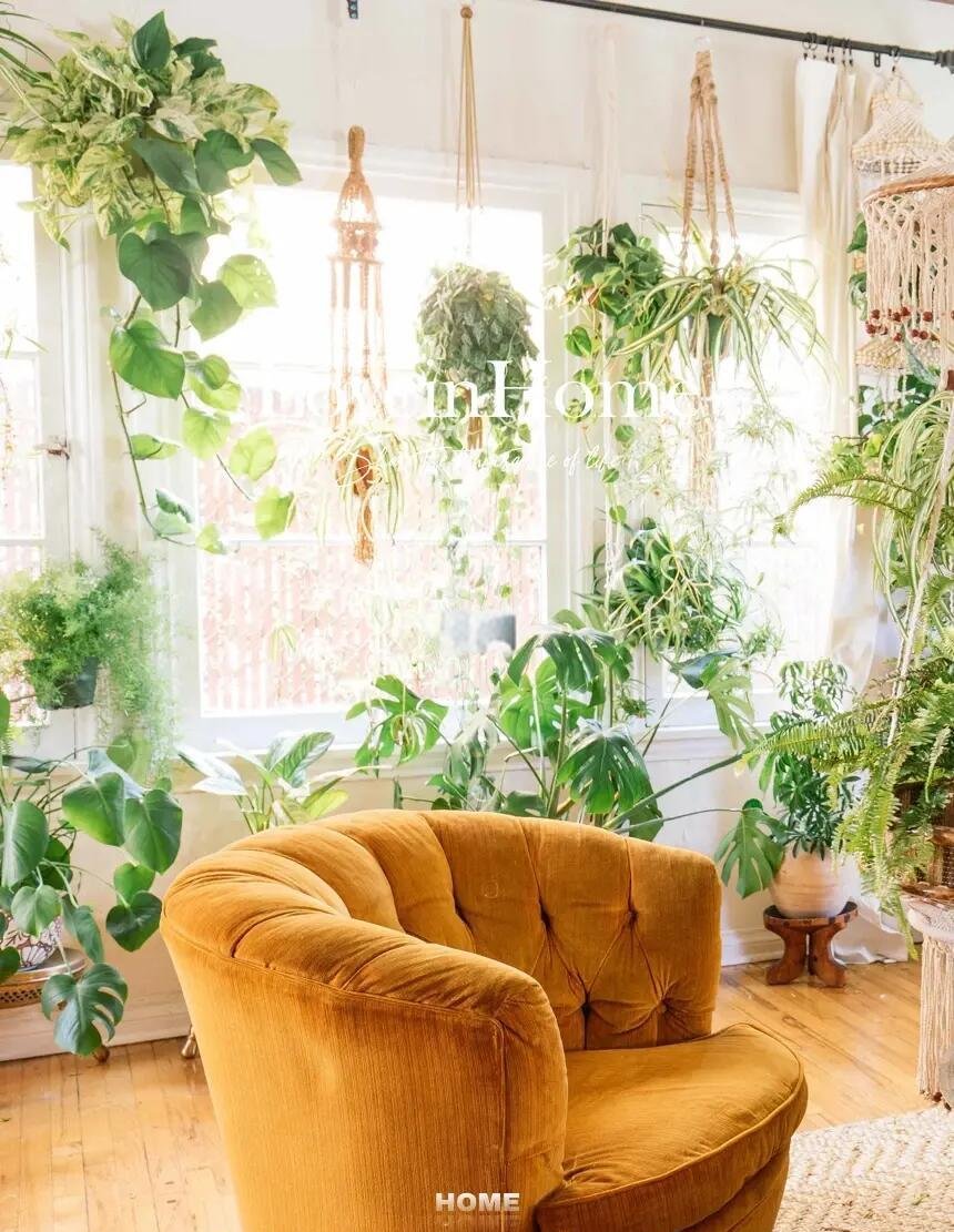 AprilKeppe4pse's tweet photo. Just finished this woven macramé wall hanging with dried pampas grass  Perfect for adding cozy boho vibes to any room! #手工制作 #DIY家居， https://t.co/WWUiX6Zj7T