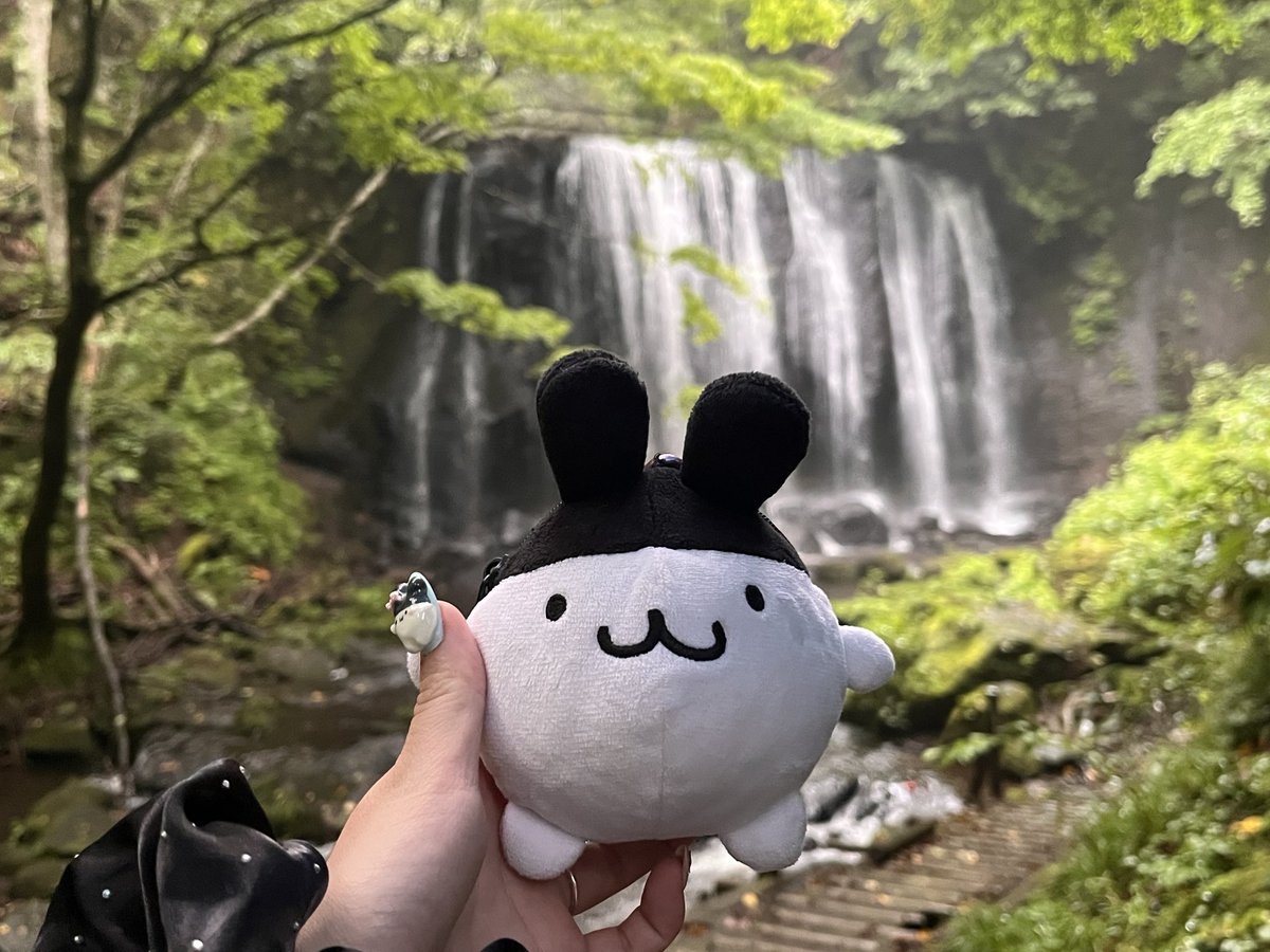 EOaod9tka's tweet photo. おでのみみちこはまんまる https://t.co/4r1h2JZ6BP
