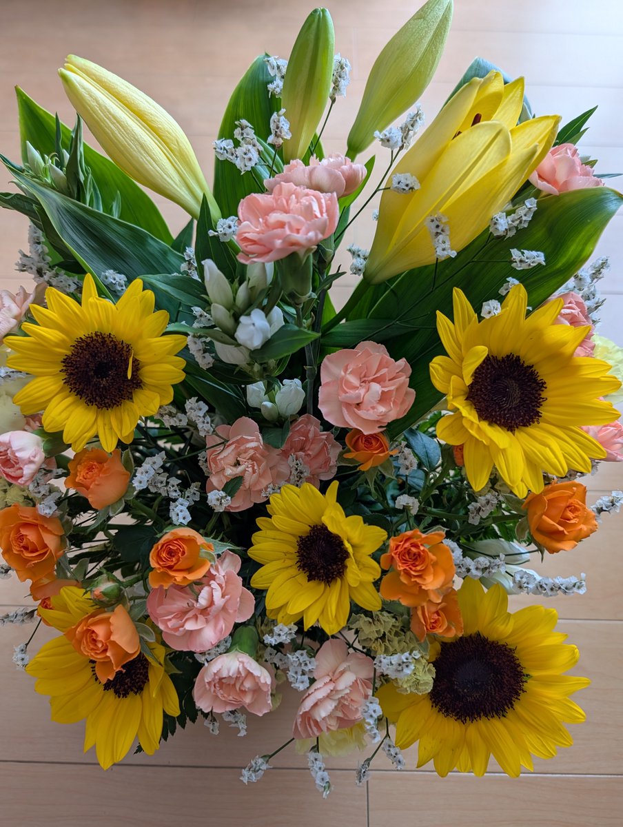 maririn_sup's tweet photo. 8月のひまわり🌻 https://t.co/TVI9rNLrjQ