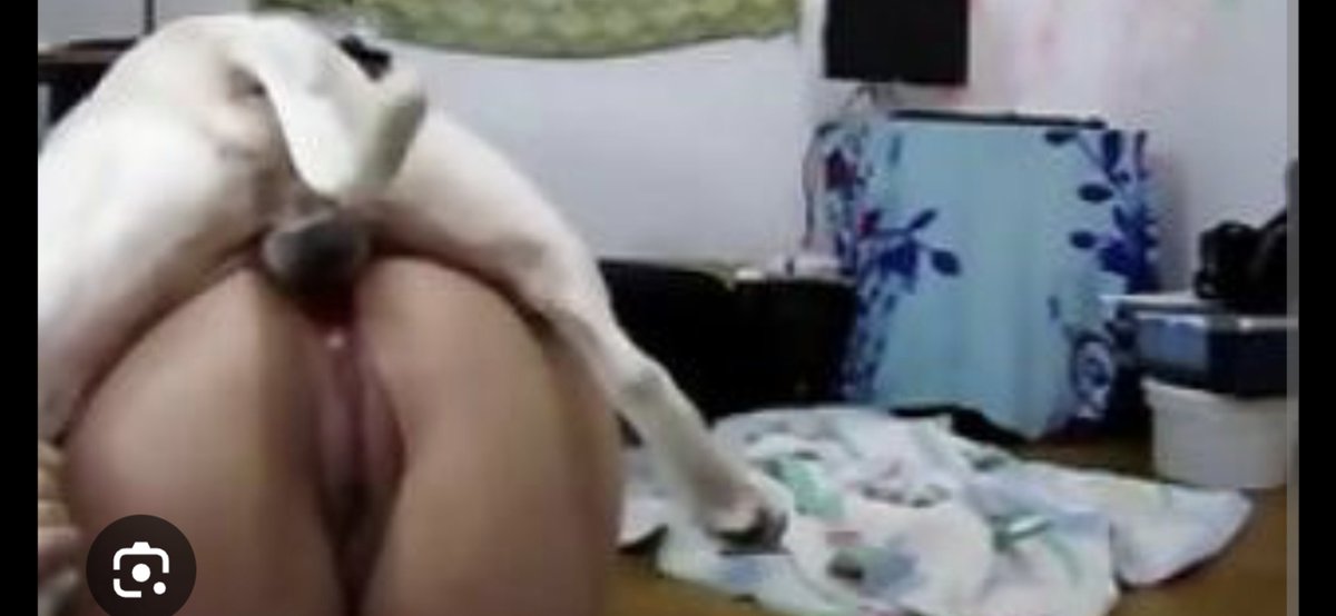 trashywhites's tweet photo. @GuntherEagleman Dog dick in white bitch ass and mouth  what can a white person tell me / not a damn thing I'll never trust or believe u lfz https://t.co/jAElLLNhUk