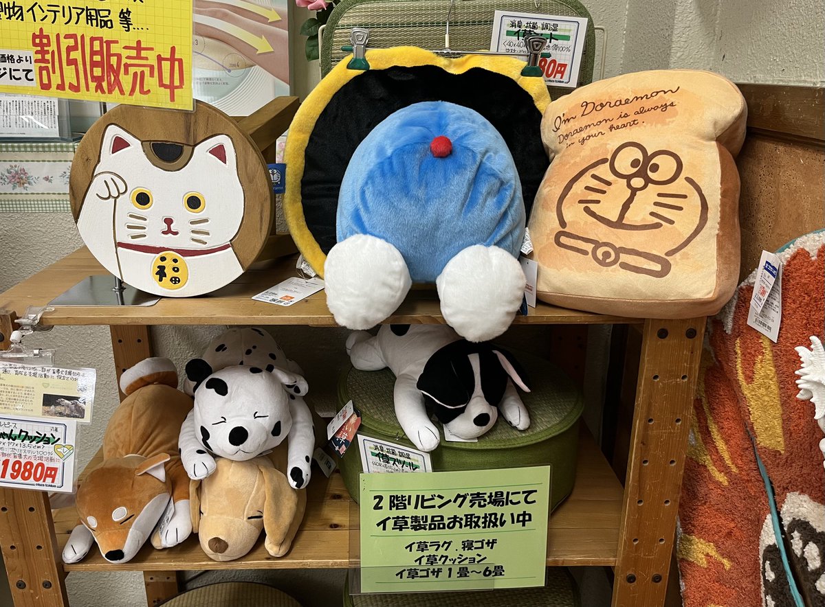 platoki's tweet photo. 練馬店2階リビング売場にお越しください。
結構 可愛いに溢れています🩷
ジブリやサンリオなどのキャラからいろんな動物達が、マットやラグ•クッション•ぬいぐるみなどのグッズになって、お部屋を和やかにしてくれます♪

8/15(土)はいちごカードの日
あらかじめ何を買うか決めておくと良いですよ。 https://t.co/rrvMTMgdRW