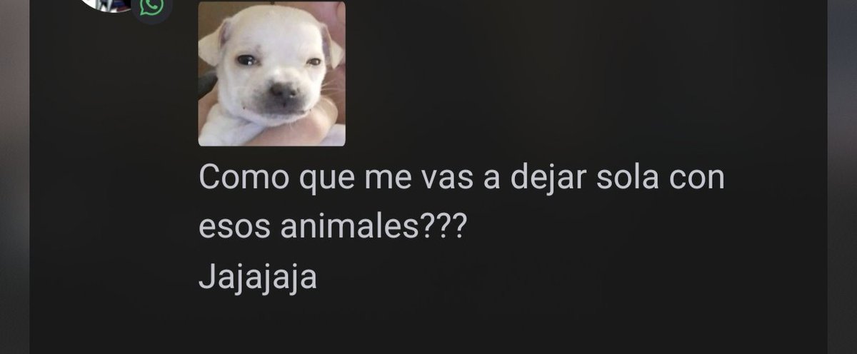 milson922's tweet photo. yo la quiero mucho https://t.co/ULiBVqHWwn