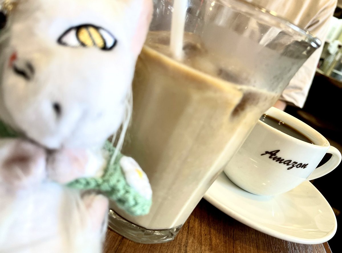 eggthing's tweet photo. 休憩に入った喫茶店で写真を撮ったしんじゅーちゃん https://t.co/2EFoaiAvsq