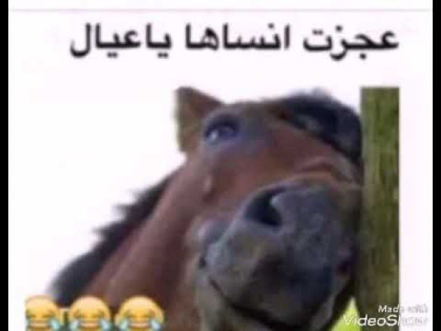 Hananinlife's tweet photo. #HouseOfTheDragon 
خلص الموسم و ما شفت فيغار 💔 https://t.co/TeF3sSpyFv