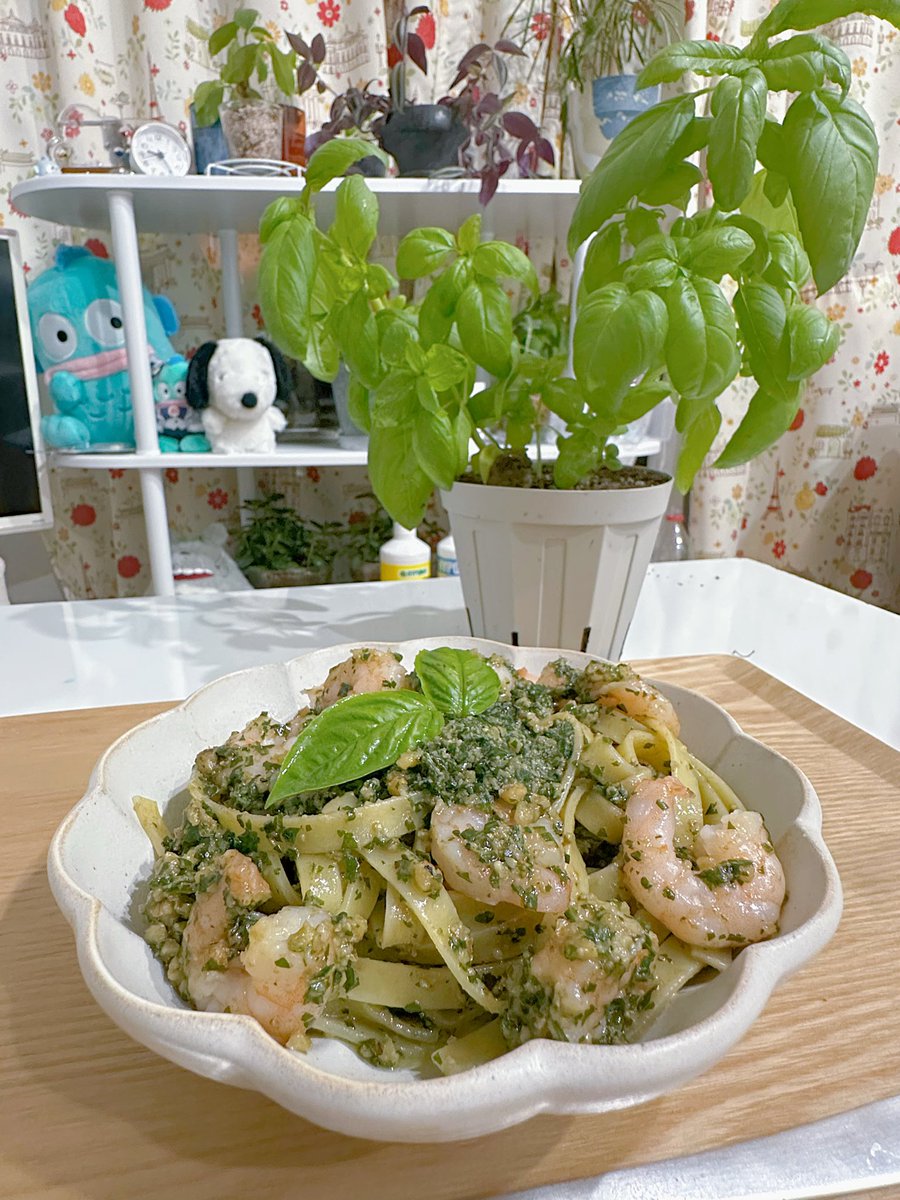 coffeecherry05's tweet photo. おはようございます！

みてみて〜
自分で育ててるバジルでジェノベーゼパスタ作った🌿

4月から育ててやっと念願のジェノベーゼ！

今は育ちすぎで消費に困ってるけど🤣

 #歌い手さんMIX師さん絵師さん動画師さんとＰさん繋がりたい https://t.co/zBcz6lA7KC