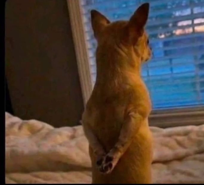 IVictor15682's tweet photo. God patiently waiting for you to do what ur mates are doing so he can use you as a scapegoat.😂😂 https://t.co/EqOtBTgClQ