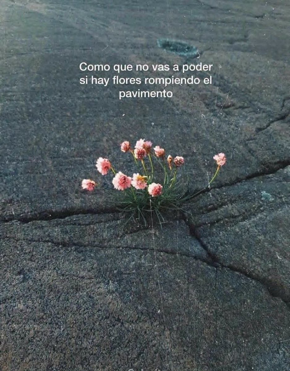itextosoff's tweet photo. https://t.co/YEe1QRUN4l