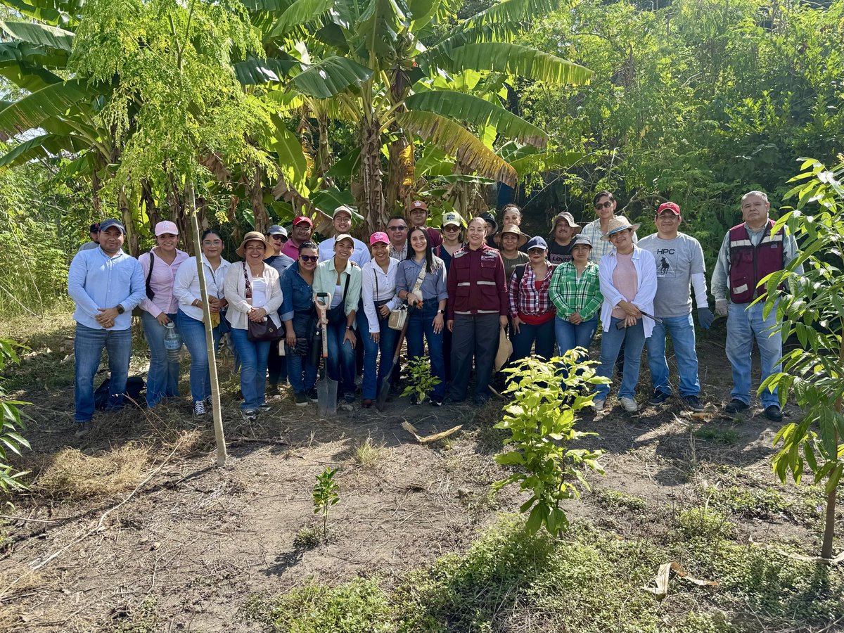 ITPETabasco's tweet photo. 🌳 El Instituto de Transparencia para el Pueblo del Estado de Tabasco se sumó a la #JornadaNacionaldeReforestación2026 donde reafirmamos nuestro compromiso por el cuidado y conservación de nuestros ecosistemas. 🌱
#ITPET https://t.co/azzKNrlRhh