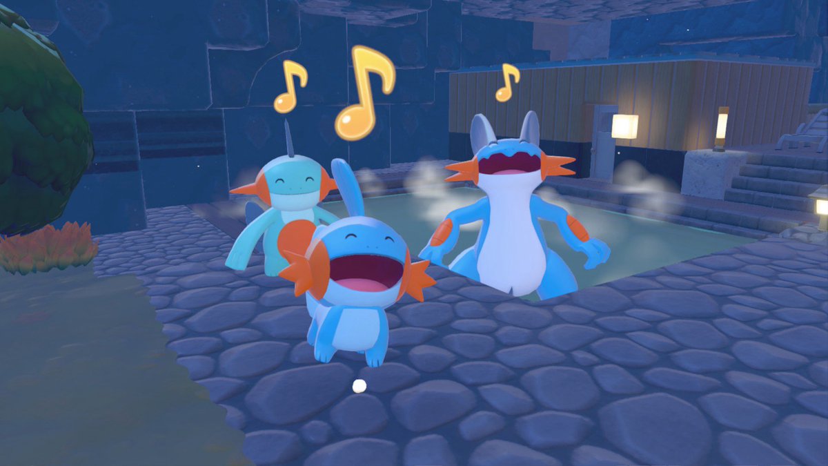 tanutanu720's tweet photo. ぽこあに好きなポケモンいるのやっぱ嬉しい https://t.co/jf1sCUGlGU