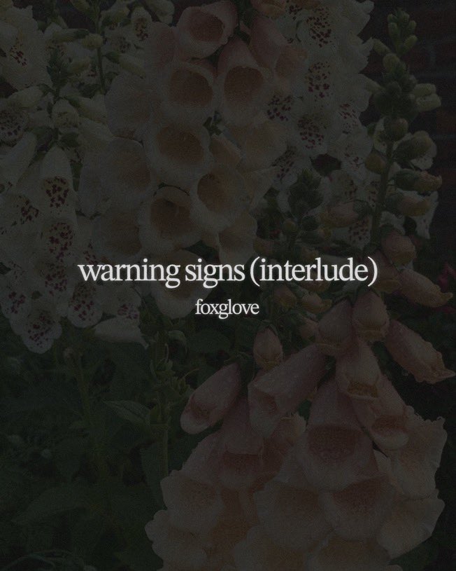 jxckash's tweet photo. so beautiful (and idc if warning signs is an interlude it’s still my fave) https://t.co/2ZRHCNHvlY
