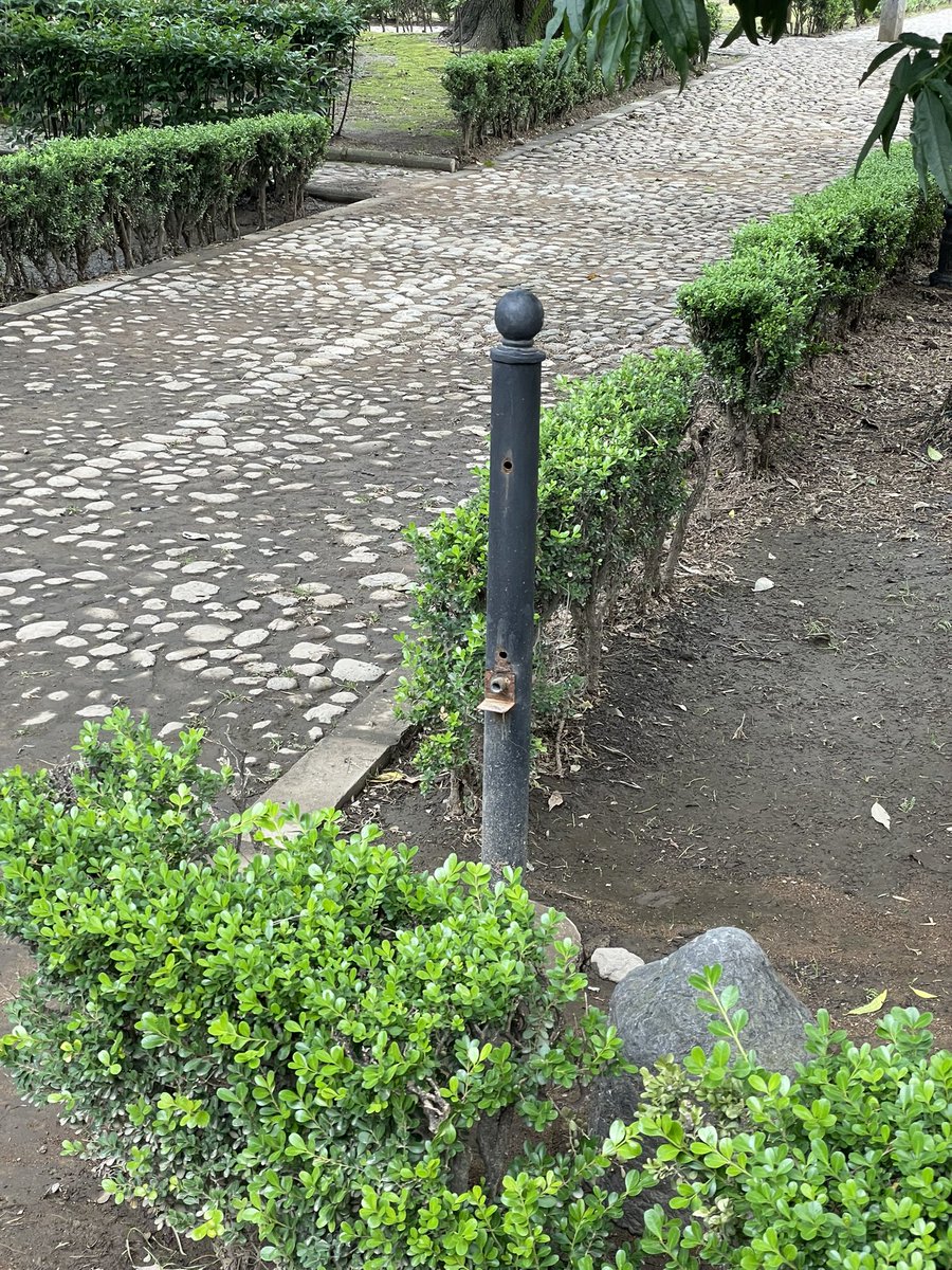 omarrmb's tweet photo. @Alcaldia_Coy buenos los botes de basura en la conchita. ¿Cuánto duraron? ¿2 meses? Se acaba el mundial y los quitan https://t.co/Hk33xbeVXu