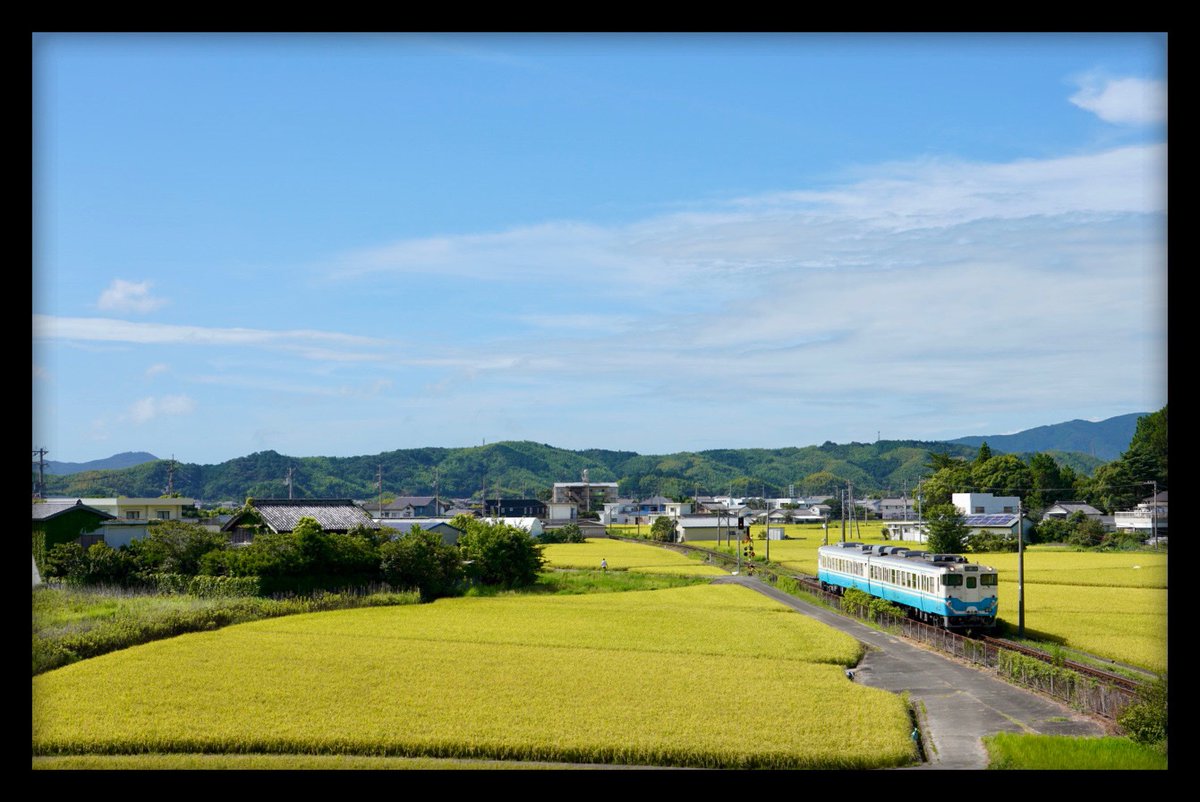 c57muroran's tweet photo. #みんなの牟岐線

 稲穂とキハ47

宮崎もそうだが、この地域も早場米の産地。
お盆前には稲刈りが始まり、油断していると稲穂の写真を撮り逃してしまう。 https://t.co/d0EUvcMHPk