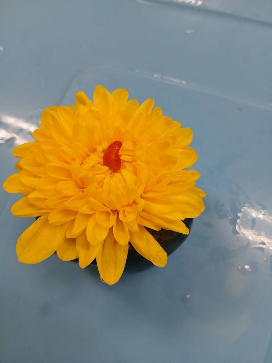 KOobuchi59189's tweet photo. おはようございます🌞

今年も浅舞婦人漬物研究会 なかの人です

茄子の花ずし漬け込み始まりました

皆���今日もご安全に〜

浅舞婦人漬物研究会
https://t.co/xa7VFJF2gT
あきたぼーの
yahoo店
https://t.co/d9Pa0xnw7R
楽天店
https://t.co/e21ht4GHed
BASE店
https://t.co/jYOiE5a7Zb
メルカリ店 https://t.co/V6kev0afqA