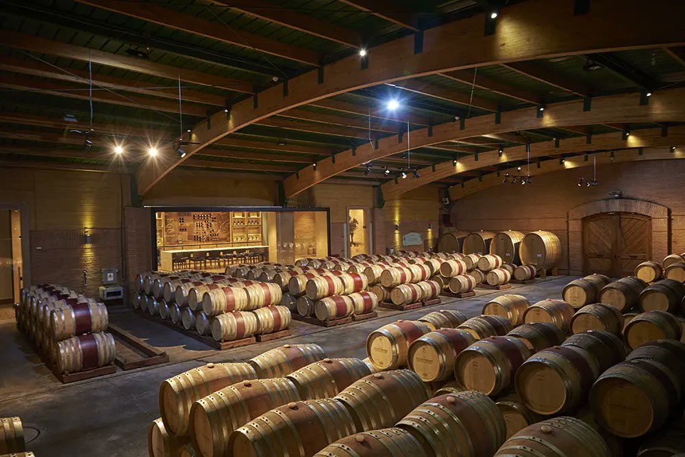 Saltwateronfly's tweet photo. Chile's Colchagua Valley produces some of the most acclaimed red wines in the world — Carménère, Cabernet Franc, icon blends that show up on every serious list. The Casablanca Valley does the same for whites. And both are a day trip from Santiago, with an English-speaking guide and all transfers included.

We put together four guided wine routes specifically for the partner on the Chile fishing trip who wants their own adventure. One day or two. Solo, couples, or a group of friends. Prices drop significantly at 4–6 people.

Full tour breakdowns + the article that makes the case → https://t.co/aHJWHtElw9
#winetours #winetasting #ChileanWine #flyfishing