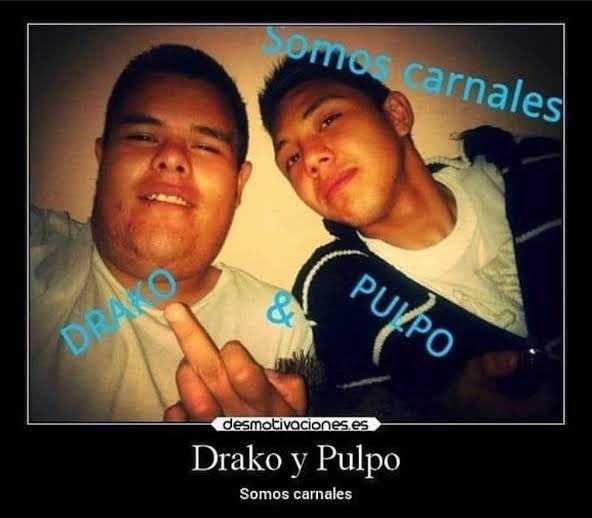 S3bas_Perez_'s tweet photo. no mames como que están muertos el drako y el pulpo cabrón🥲. https://t.co/5NaCmW2QXe