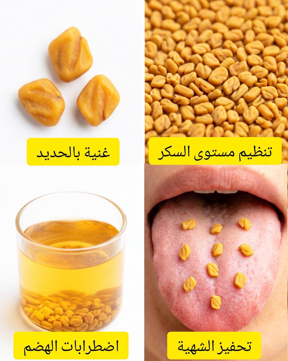 8lo_4's tweet photo. تعرف على الفوائد الثمانية لبذور الحلبة 
بذور الحلبة من الكنوز الطبيعية اللي استخدمها أجدادنا من آلاف السنين..
خلونا نتعرف على أبرز فوائدها بطريقة علمية ومختصرة https://t.co/FlyjB98UIp
