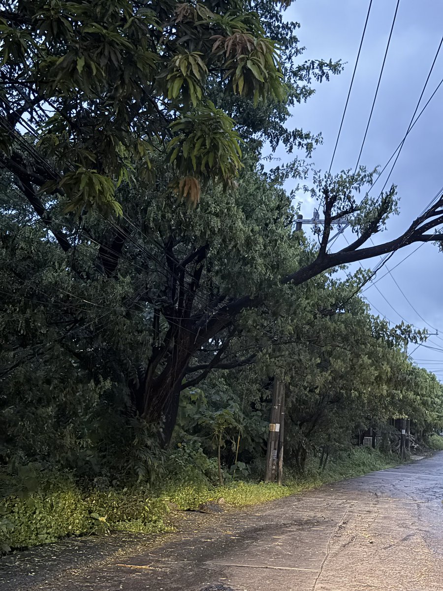 MiningMiranda's tweet photo. OTW to the farm. Early morning rise.

Ingat sa lahat ng taga Luzon Ka-Miranda.

Wala pa ring tigil ang ulan. https://t.co/C7Nl9nc7yv