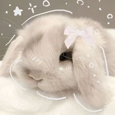 Buzznie's tweet photo. ⋆Ი𐑼° looking for #moots !!
𖹭 I go by Dotz ૮₍ ˃ ⤙ ˂ ₎ა
𖹭 5teen!!
𖹭 sh and dark stuff >.>
𖹭 I LOVE PINK!!! And bunniez 𐔌՞ ܸ.ˬ.ܸ՞𐦯
𖹭 New to this! New account ( ˶°ㅁ°) !!!! 
꒷꒦︶꒷꒦︶ ๋ ࣭ ⭑꒷꒦
#sh #slit #new #moots https://t.co/Fy7JPZmJgr