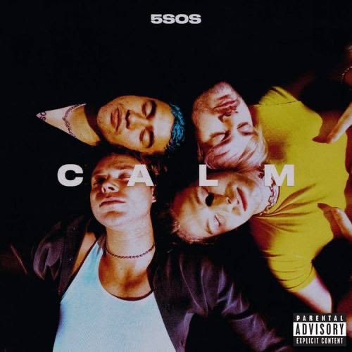 Calumwldflwr's tweet photo. Hola soy Fiorella👋 Staneo a los chicos desde 2017/8, mi lane es Calum. 
Tengo entrada para el concierto zona Platinum, busco con quien ir al concierto 🎫⭐️
Mi álbum fav es CALM⭐️ #EAS5SOSPERU https://t.co/2n29cbDuH6