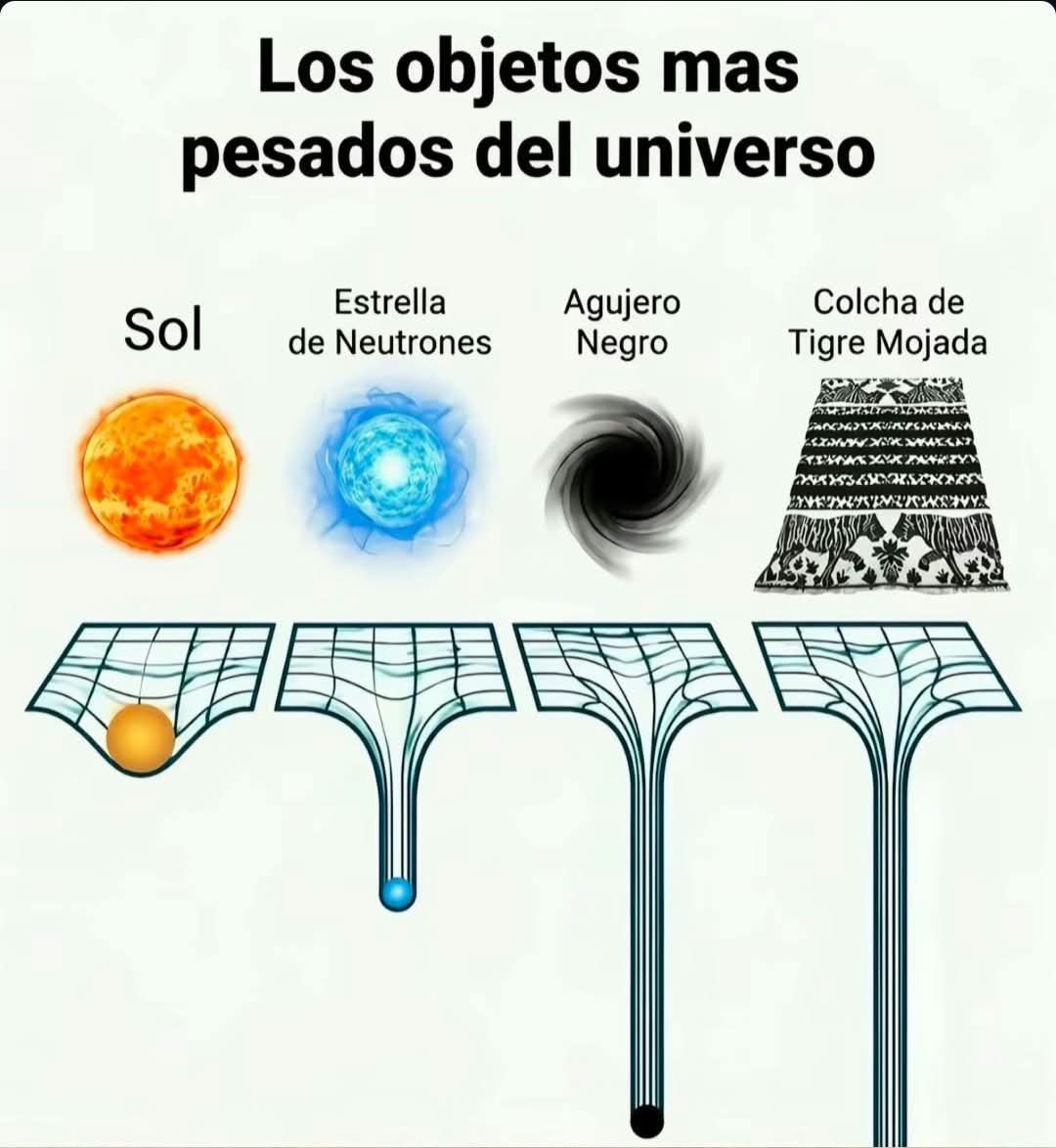 EnsedeCiencia's tweet photo. Esas madres son casi imposibles de sacar de la lavadora. https://t.co/ACZeGDJSQr
