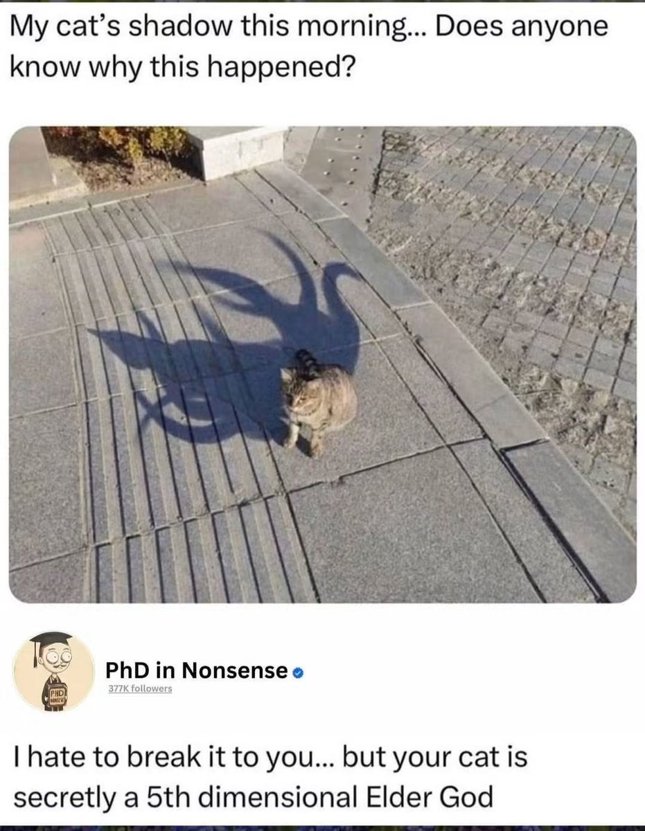 WholesomeMeme's tweet photo. https://t.co/Jw5R49I2Nj