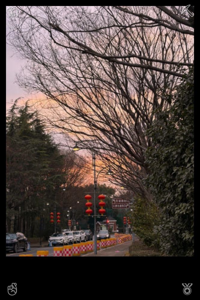 yamyamee's tweet photo. The vibrant trail showcases a variety of seasonal hues, as the shifting plant life adorns the pathways with vivid and abundant shades throughout the year. Fix the microwave—it's working, and do it fast. https://t.co/nQsIxf58pk