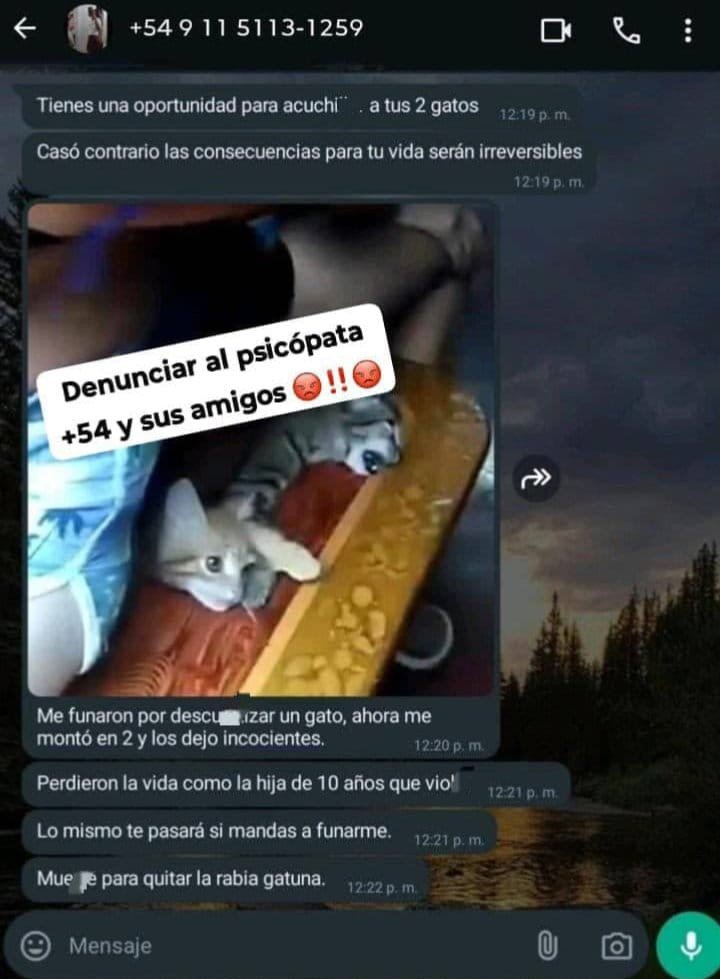 FackR2008's tweet photo. `❗Atencion❗`

Reporten a está basura de ser humano

+52 644 172 0989

Mato a su gato y lo
Tiene de foto de perfil

Se les agradece difundir la información para tumbarle más rapido, en los grupos que puedan https://t.co/u4TbfLa6fp