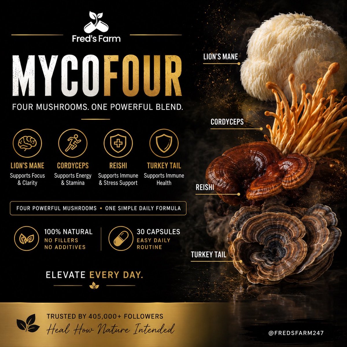 FredsFarm247's tweet photo. Your daily routine doesn’t always need another cup of coffee. 🍄

Meet MycoFour Fred’s Farm’s four-mushroom blend:

🍄 Lion’s Mane
⚡ Cordyceps
🌿 Reishi
🛡️ Turkey Tail

Four mushrooms. One simple daily formula.

Explore MycoFour 👇🏽

https://t.co/ztd4Vqr8uG https://t.co/jVYG6ACgbv