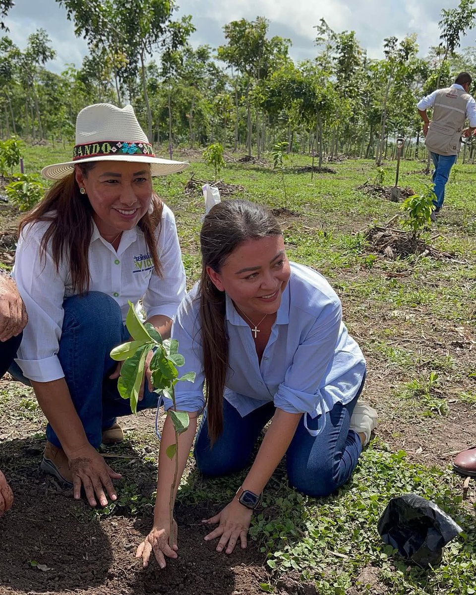 sasildeleon's tweet photo. La jornada nacional de reforestación convocada por nuestra presidenta @Claudiashein  representa un esfuerzo invaluable de todas y todos los mexicanos para sembrar 6.6 millones de árboles en cada rincón de nuestro país... https://t.co/BDnHubaH2G