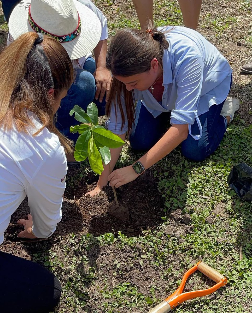 sasildeleon's tweet photo. La jornada nacional de reforestación convocada por nuestra presidenta @Claudiashein  representa un esfuerzo invaluable de todas y todos los mexicanos para sembrar 6.6 millones de árboles en cada rincón de nuestro país... https://t.co/BDnHubaH2G