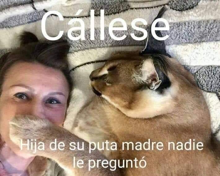 EderMonsivais's tweet photo. @LNetita @ClubAmerica https://t.co/XBnCkii5ee