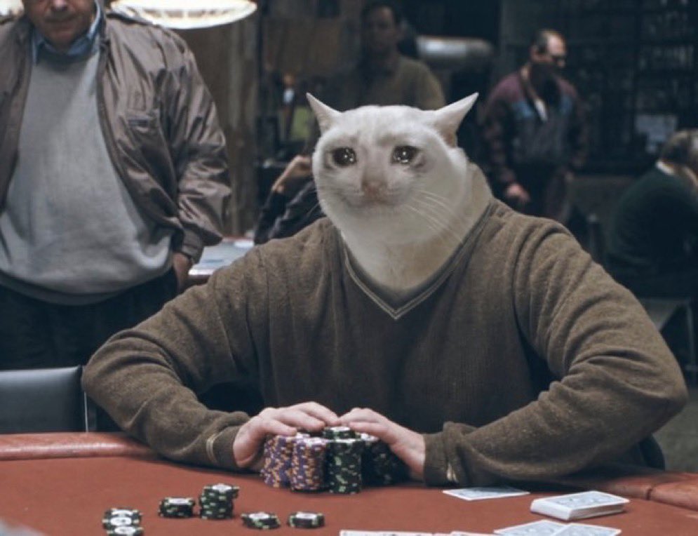 ether__monk's tweet photo. fortune favours the bold 

$cashcat https://t.co/bm0qQHlpnM