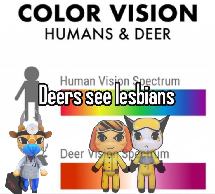 headnurseyuri's tweet photo. dr harlow can see lesbians 
#animalhospital #doublenurse https://t.co/OAVTIWxHx8