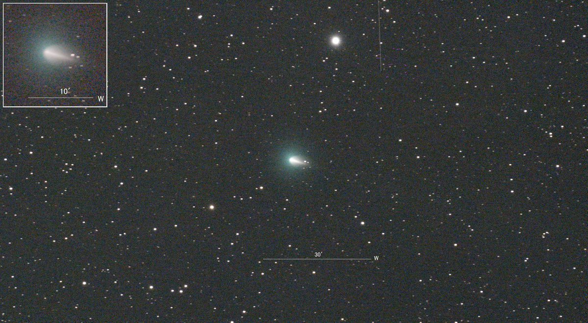kumagayakimura's tweet photo. #DWARF3 で撮影した8月9日(10日未明)の
マクノート彗星  220P/McNaught

大バーストから5日経過 特徴のある形状に変化
全光度6.3等（眼視）

2026/08/09 27:28:39(JST)  09.769(UT)
DWARF3　astroフィルター 1セット15sec×16→2セット　
 ＠昭和村(群馬県）
#cometcollection https://t.co/tNNklmoBAR