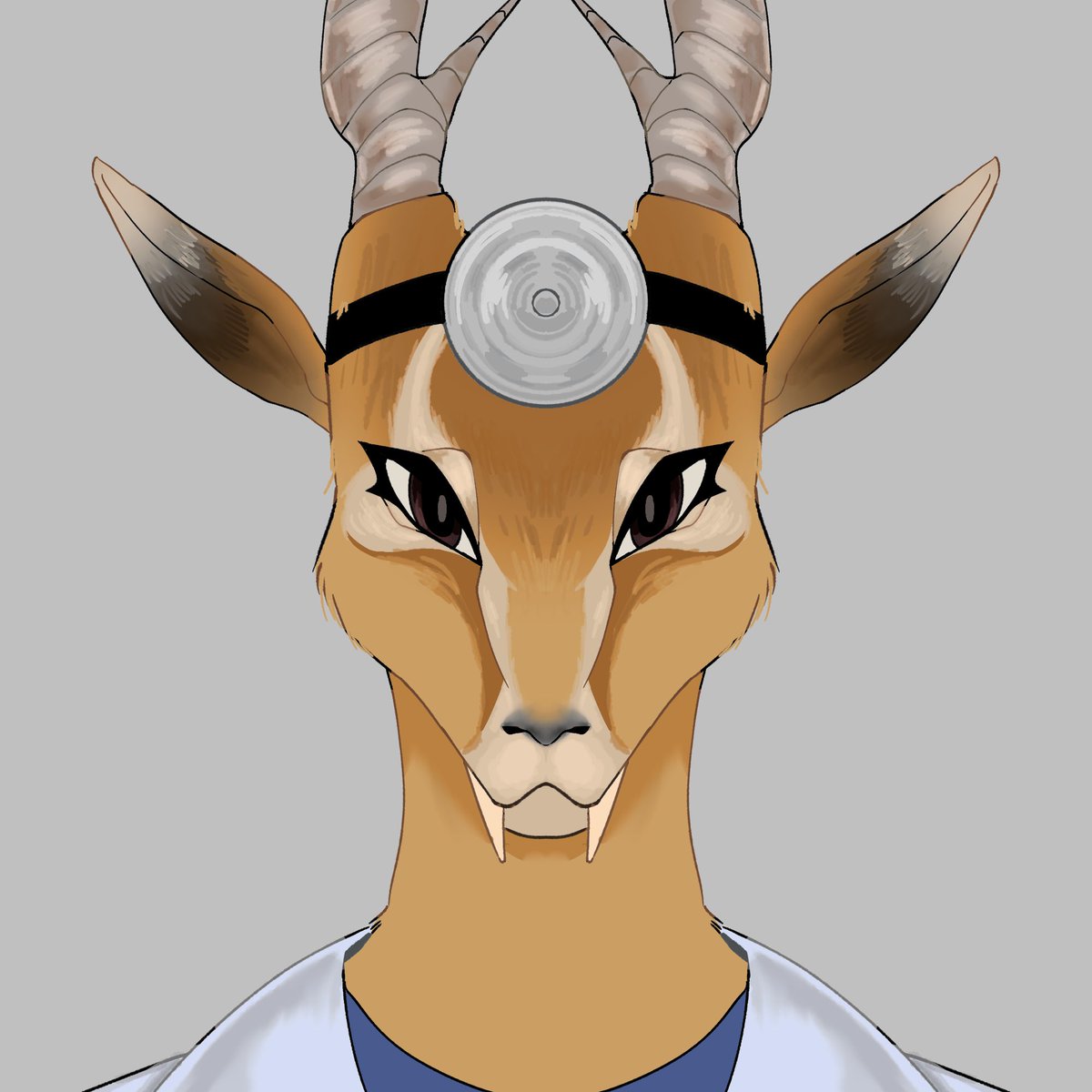 Plush_N3rd's tweet photo. My vision of the characters of #animalhospital 
#animalhospitalroblox https://t.co/h2xYnEtCqC