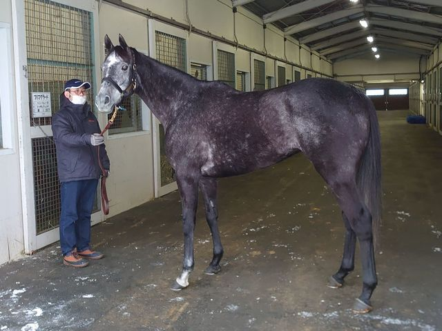 NakayamaFesuta1's tweet photo. Chrono Genesis, 4 days after her last race, she was very pretty even back then https://t.co/wuMNlPQfYy