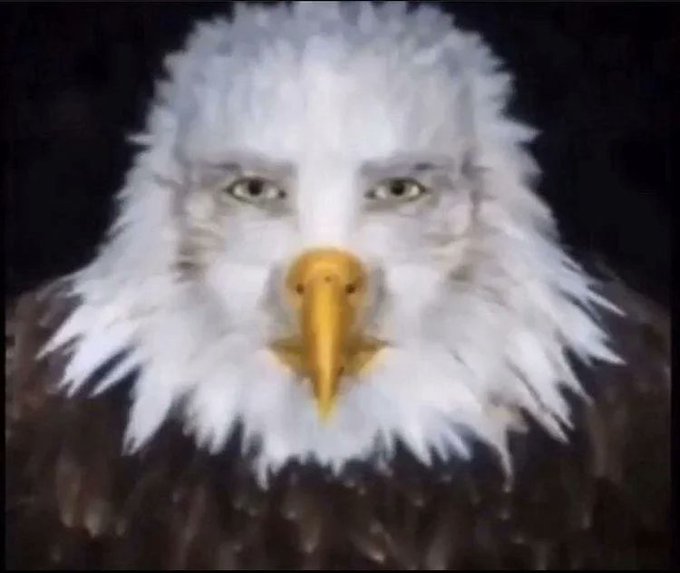 NotFomoFrog's tweet photo. the eagle told me not to pay dex because dex makes them sell.  

you want buys? take DOWN the dex.  

I will do it. trust me bro

ynuytVN2RGV3xD24mTMPu7iNiFaHfRyyt2e5Tkepump https://t.co/KyF7p1JmAC