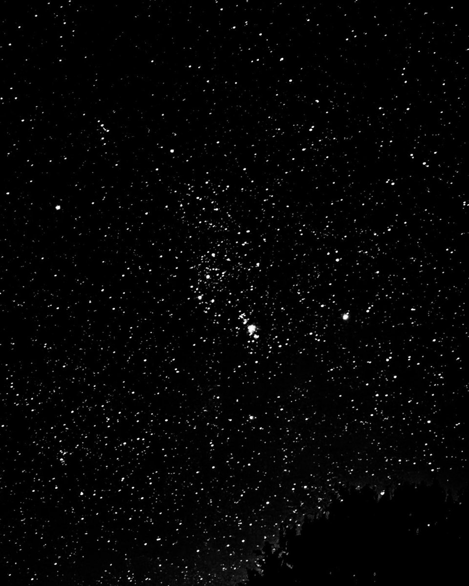 sage_astr's tweet photo. you can see an insane amount of stars when you’re away from light pollution https://t.co/ZwOiDjEvjA