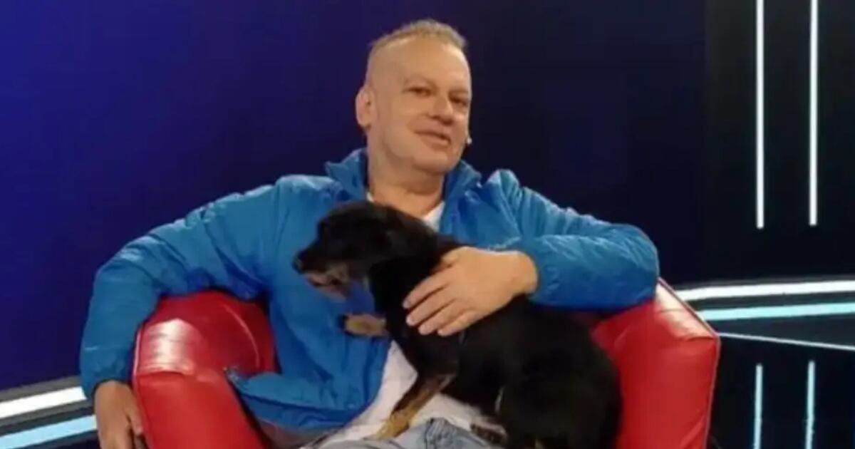radiomitre's tweet photo. Buscan adoptantes para los seis perros que se quedaron sin hogar tras la muerte de Leandro Rud https://t.co/KrjnLkE3PU https://t.co/JUmsRt6tGt